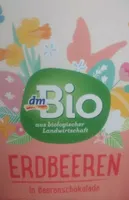 Erdbeeren in Beerenschokolade
