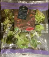 Roter Eich-Blattsalat