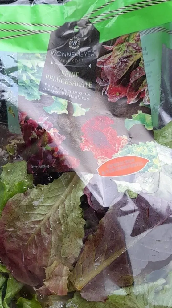 Feine Pflücksalate