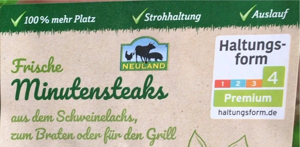Minutensteaks