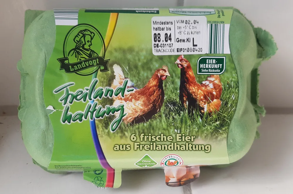 6 frische Eier aus Freilandhaltung