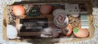 Frische Eier aus Bodenhaltung