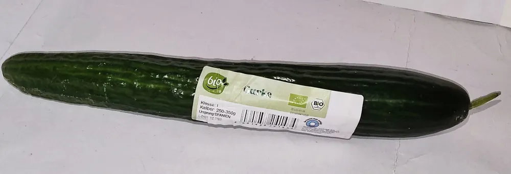 Bio-Gurke