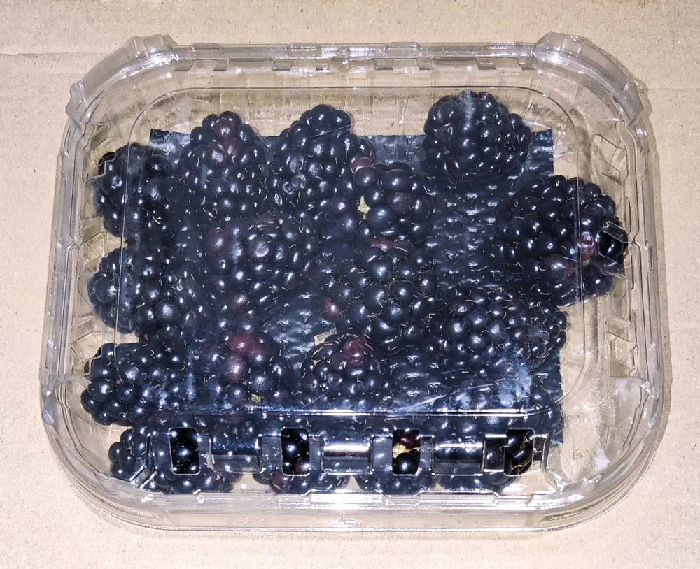 Brombeeren