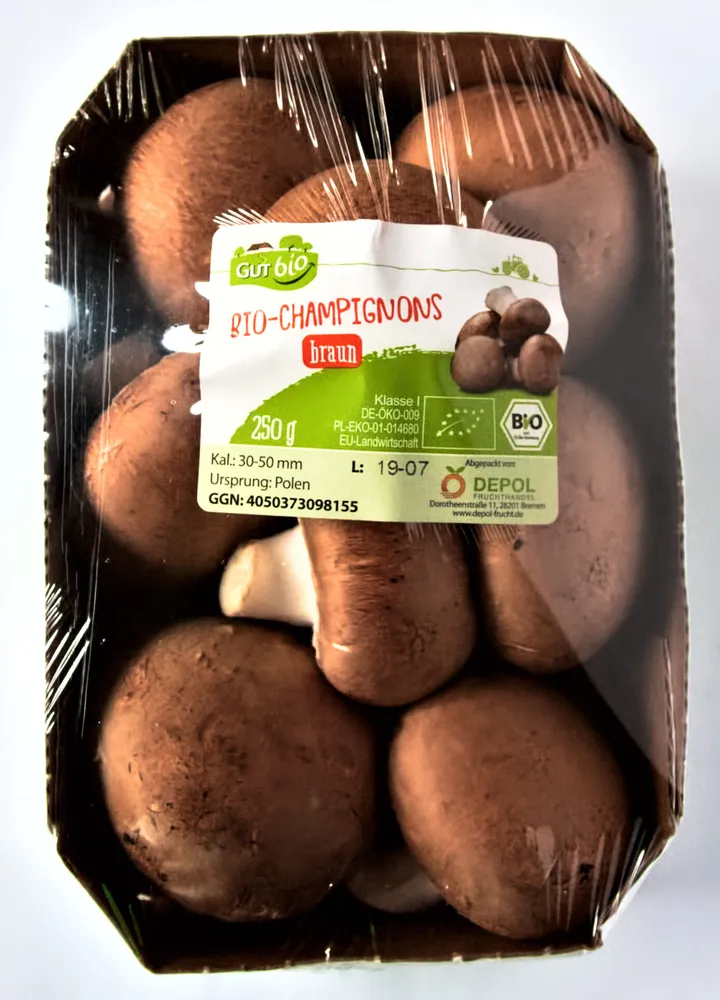 Bio-Champignons braun