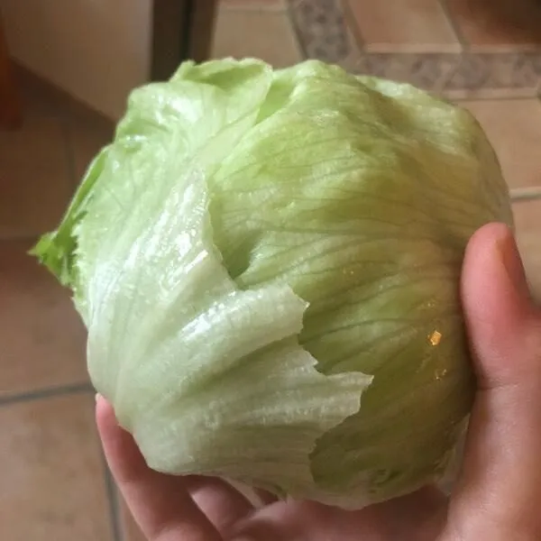 Eisbergsalat