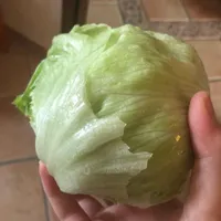 Eisbergsalat