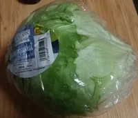 Eisbergsalat