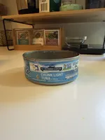 Chunk light tuna in water