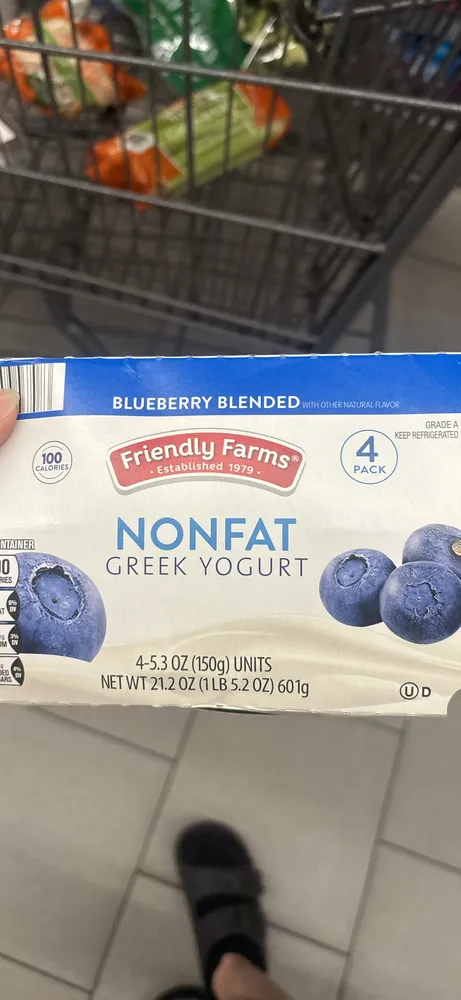 Blueberry Blended Nonfat Greek Yogurt