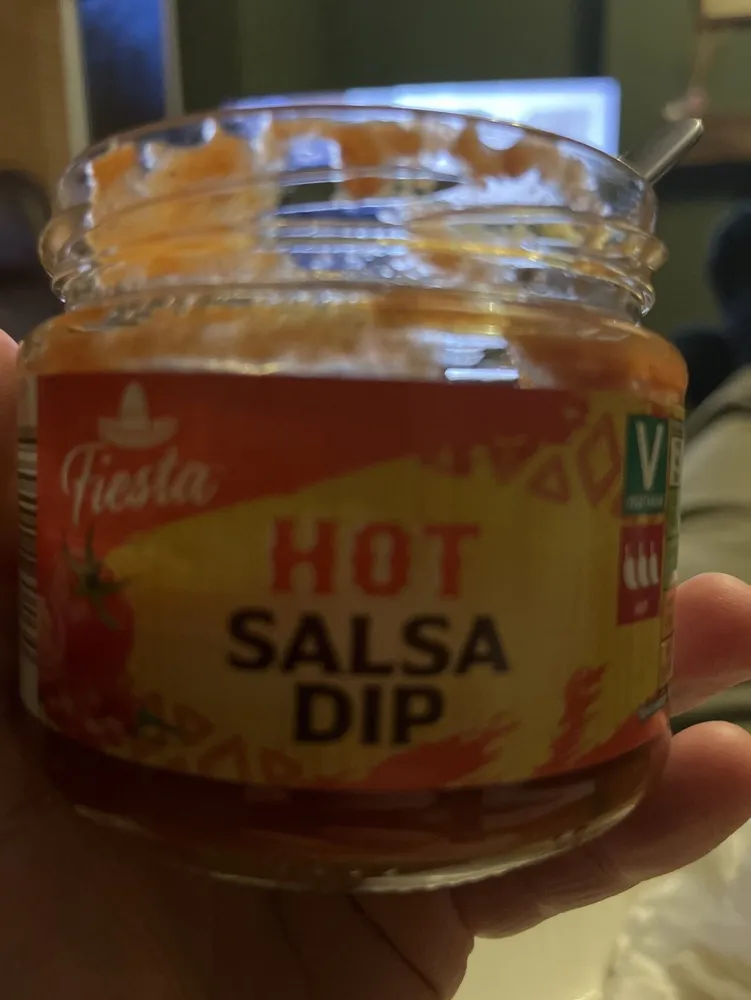 Hot Salsa Dip