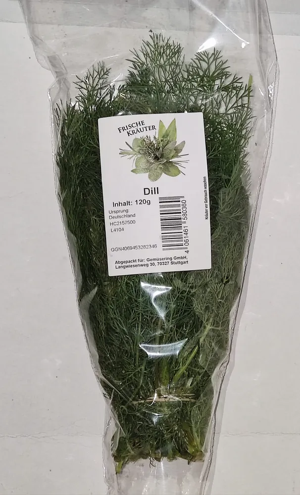 Frische Kräuter - Dill