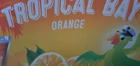 Tropical Bay