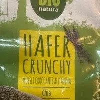 Croccante all'avena e chia