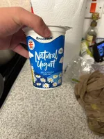 Natural Yogurt