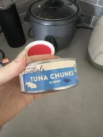 Tuna chunks in brine