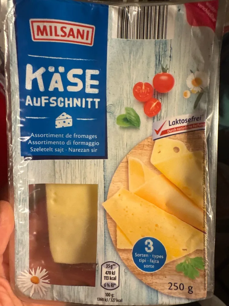 Käseaufschnitt