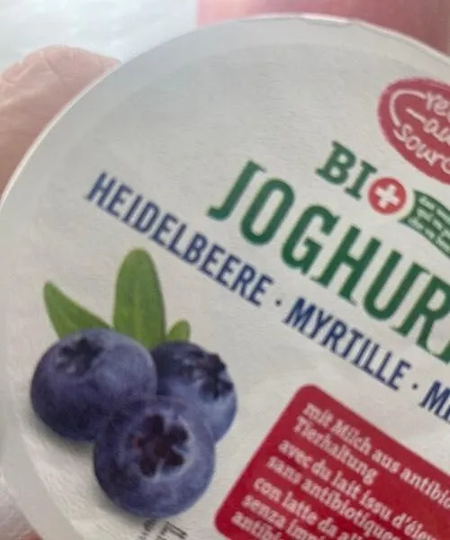 Joghurt myrtille