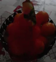 Naranjas Para Zumo