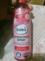HITZESCHUTZ SPRAY