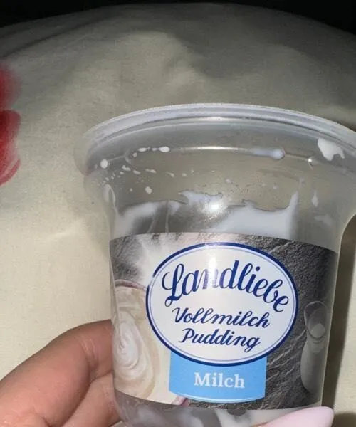 Vollmilch Pudding