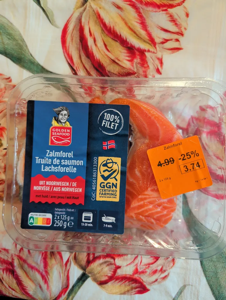 Zalmforel / Truite de saumon