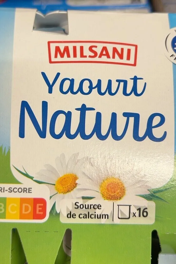 Yahourt nature