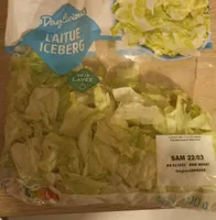 Laitue Iceberg
