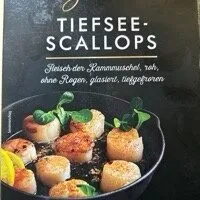 Tiefsee-Scallops