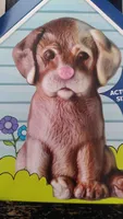 Charlie the chocolate labrador