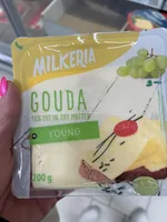 Gouda 48%