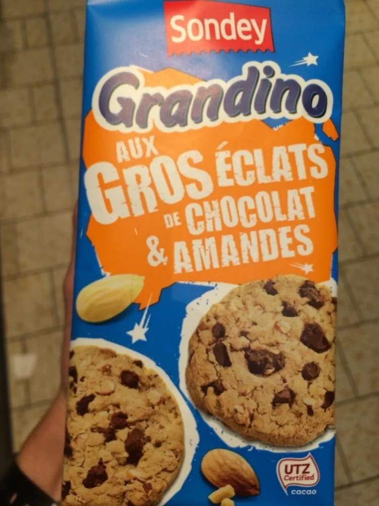 Grandino aux gros éclats de chocolats & noisettes