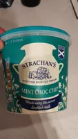 Mint Choc Chip Ice Cream