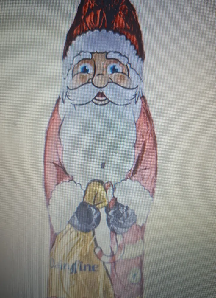 Dairy Fine Hollow Milk Chocolate Santa