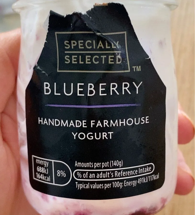 Blueberry Handmade Farmhouse Yogurt