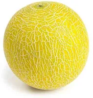 Galia Melon