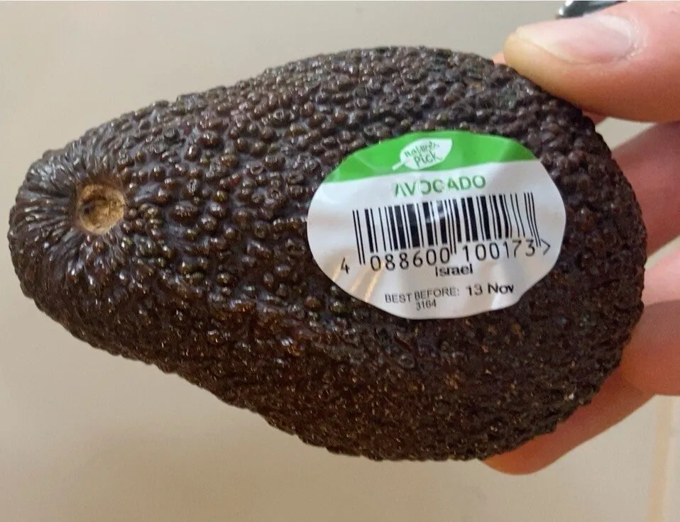 Avocado