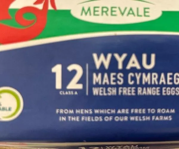 Welsch free range eggs
