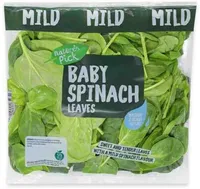 Baby Spinach