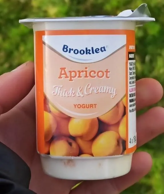 Apricot Yogurt