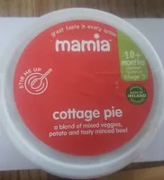 Cottage pie