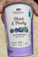 Blueberry irish yogurt