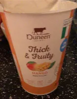 Thick and Fruity Mango Irish Yoghurt