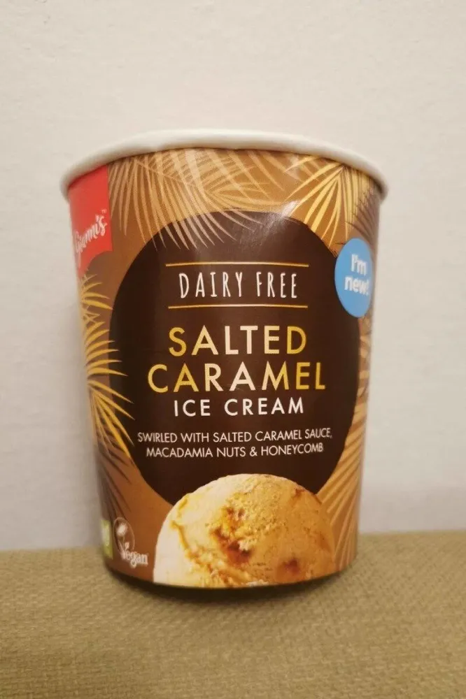 Salted caramel dairy free ice cream