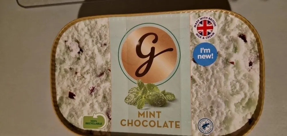 Mint Chocolate Ice Cream