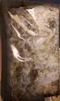 Luxury Topped Stollen