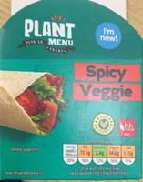 Spicy veggie wrap