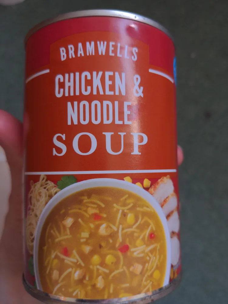 Chicken & Noodle Soup