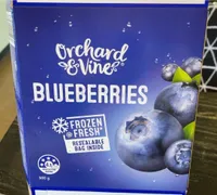 Frozen Blueberries