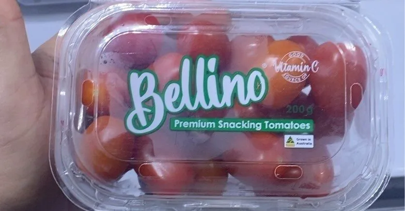 BELLINO TOMATOES